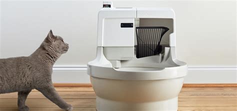 Catgenie The Worlds Only Fully Flushing Self Washing Cat Box