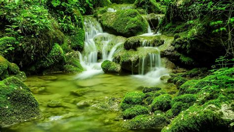 1048982 Landscape Forest Waterfall Water Nature Moss River