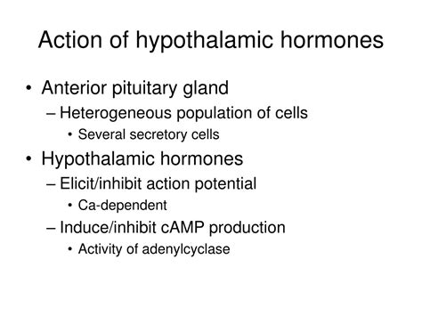 ppt hypothalamus powerpoint presentation free download id 9614292