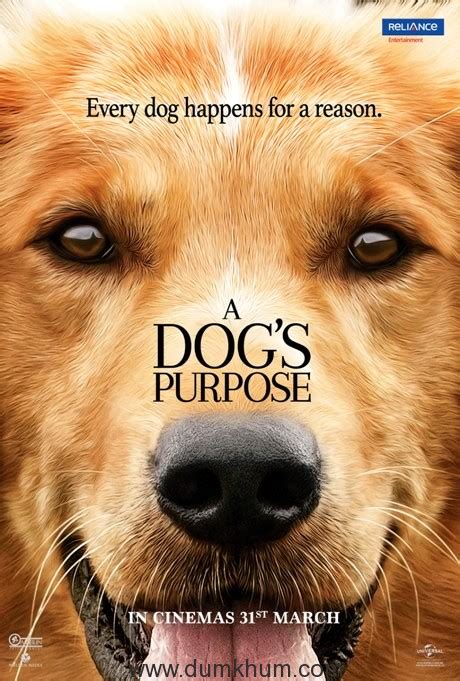 The new bestselling book a dog's perfect christmas (from the #1 new york times bestselling author of a dog's purpose) is this year's perfect stocking stuffer for people, or dogs! Reliance Entertainment to release the film "A Dog's ...
