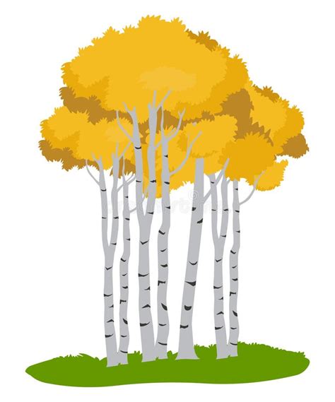 Tree Vector Birch Tree Clip Art Tree Clip Art Clipart Forest Clip Art