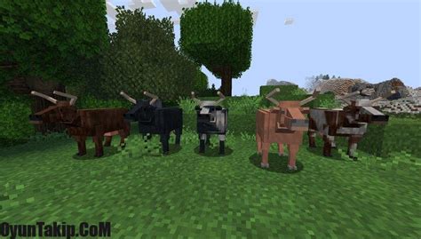 Minecraft Realistic Animals Realistic Animals 1163 16x Oyuntakip