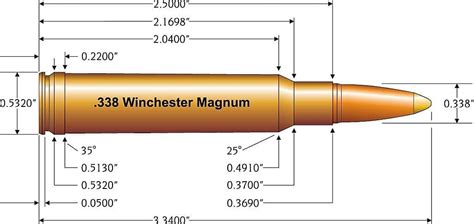Le 338 Winchester magnum est il le calibre idéal de 0 à 300 mètres