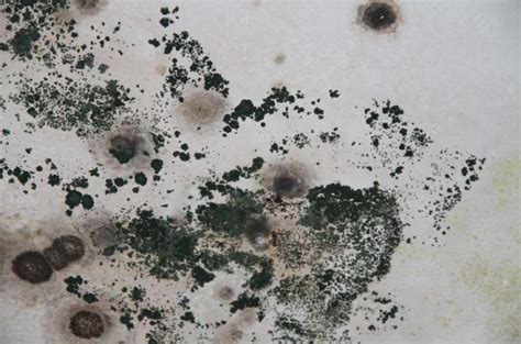 Symptoms of mold due to roof leaks: Black Mould In Bedroom Health Risks | www.myfamilyliving.com