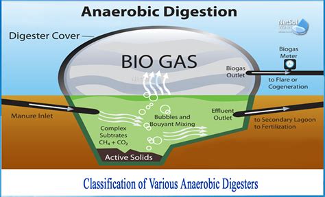 What Are The Different Types Of Anaerobic Digesters Netsol Water
