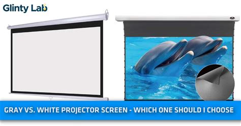 Gray Vs White Projector Screen Which One Should I Choose