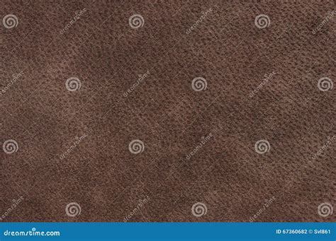 Natural Suede Texture Stock Photo Image Of Abstract 67360682