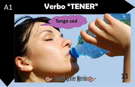 El Verbo Tener Verbo Tener Verbos En Espanol Verbos Images And Photos