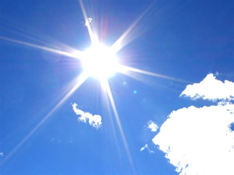 Исследование: Яркий солнечный свет уничтожает коронавирус ...