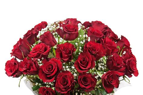 Da vinci flower shop ltd delivers flowers and gifts to the scarborough, on area. Order you Valentines Day flowers now and get January ...
