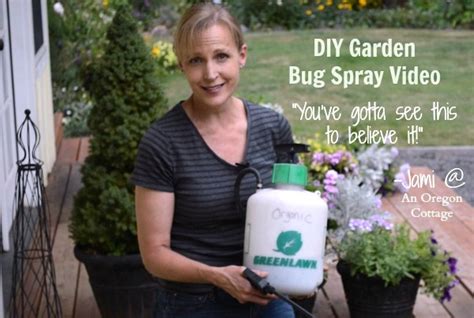 Homemade Garlic Mint Garden Insect Spray That Really Works