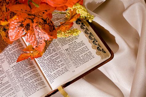 Royalty Free Fall Leaves For Thanksgiving With Cross And Open Bible