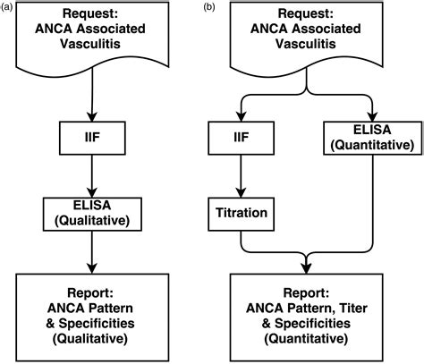 Diagnostic Anca Algorithms In Daily Clinical Practice Evidence