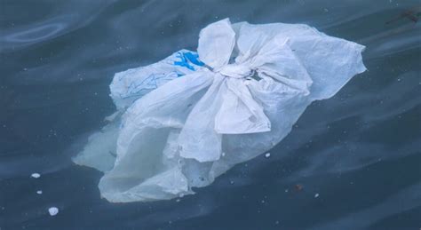 Canada Is Banning Single Use Plastic Bags Straws And Cutlery Next Year