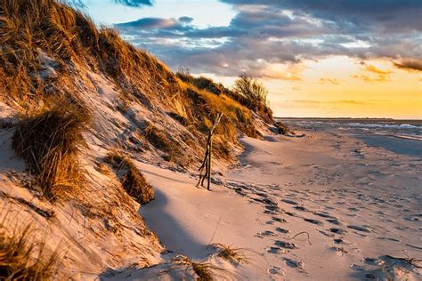 Online Crop Hd Wallpaper West Beach Baltic Sea Dunes Dune Grass