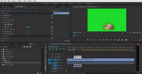 Tutorial begginers to advanced using ultra key green screen chroma key adobe premiere cs6 cs5 tips tricks how to chroma key. Adobe Premiere Pro | Green Screen Yapımı | Kolay Etkili ...
