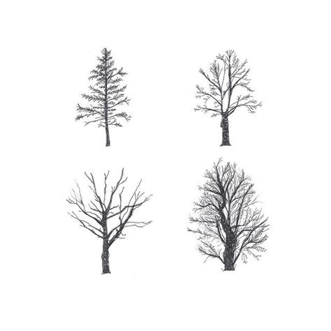 Creaternet A Few Quick Sketches Of Winter Trees Drawing Illustration