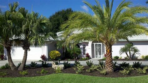 42 Palm Trees In The Front Yard Front Yard Tree Landscaping Palm