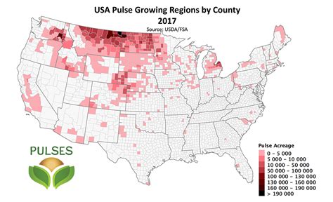 About The Usa Dry Pea And Lentil Council Usa Pulses