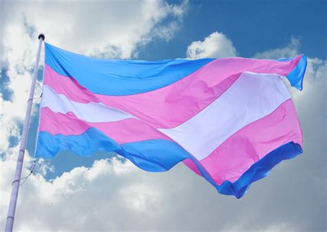 Common Misconceptions Regarding Transgender People Pairedlife