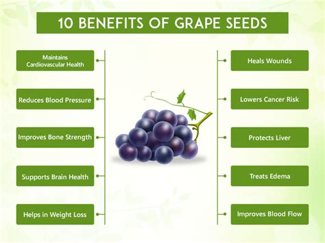 The 10 Health Benefits Of Grape Seeds A Nutritional Powerhouse