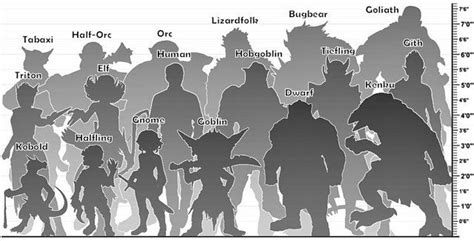 Art A Visual Size Comparison Of Several 5e Races Dndhomebrew Dnd