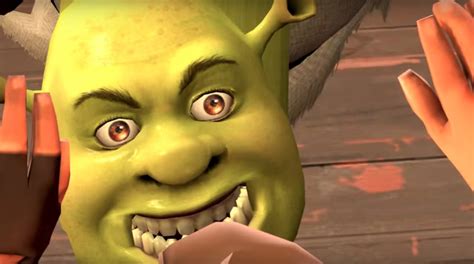 Shrek Donkey Get Out Of My Swamp 316340 Shrek Donkey Get Out Of My Swamp