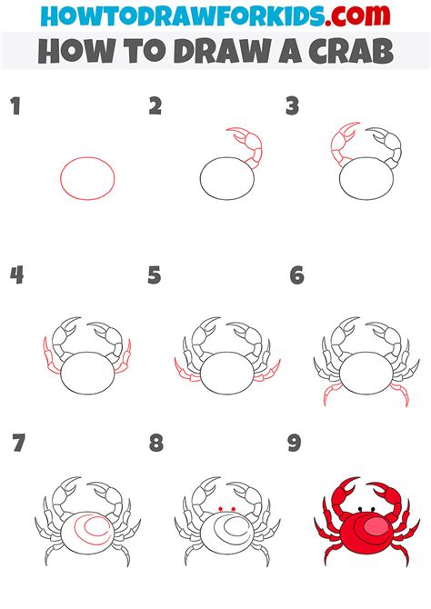 How To Draw Crab Step By Step Crab Drawing Crab Drawi