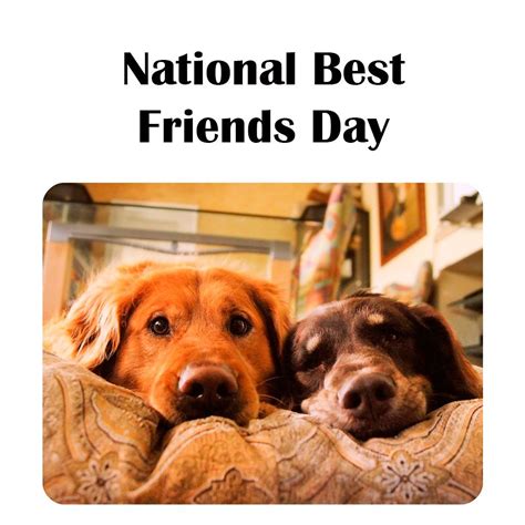Or if you have any information about best friends day, or maybe you. Happy National Best Friends Day! | National best friend ...