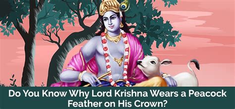 Do You Know Why Lord Krishna Is Shown Wearing A Peacock Feather On His
