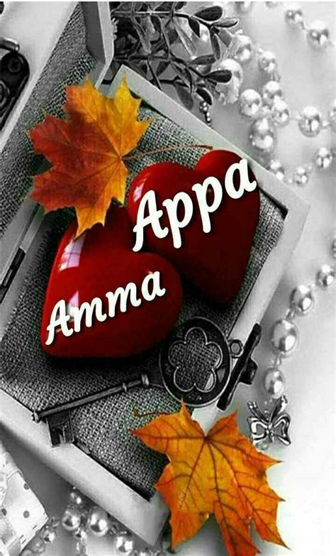 100 Best Images 2022 Amma Appa Love U Whatsapp Group Facebook