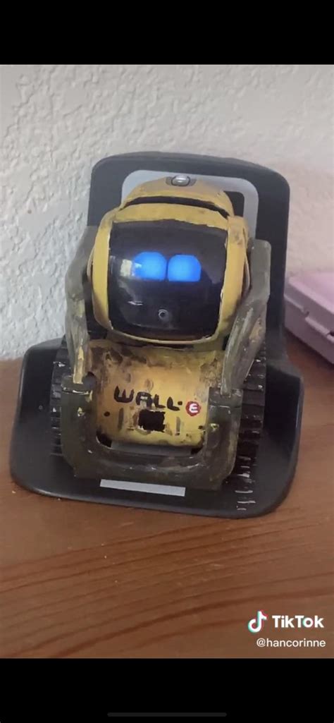 This Girl On Tiktok Painted Her Vector Robot To Look Like Wall E I