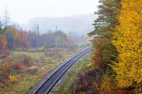 Railway Track In The Autumn Forest Top View Stock Image Image Of