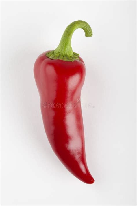 Single Red Chili Pepper Stock Image Image Of Vegetable 16314077