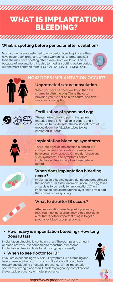 Top 25 Implantation Facts For Every Woman