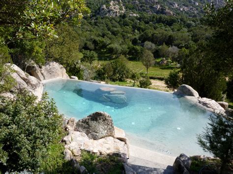Maybe you would like to learn more about one of these? Eurospapoolnews.com - BIODESIGN POOLS