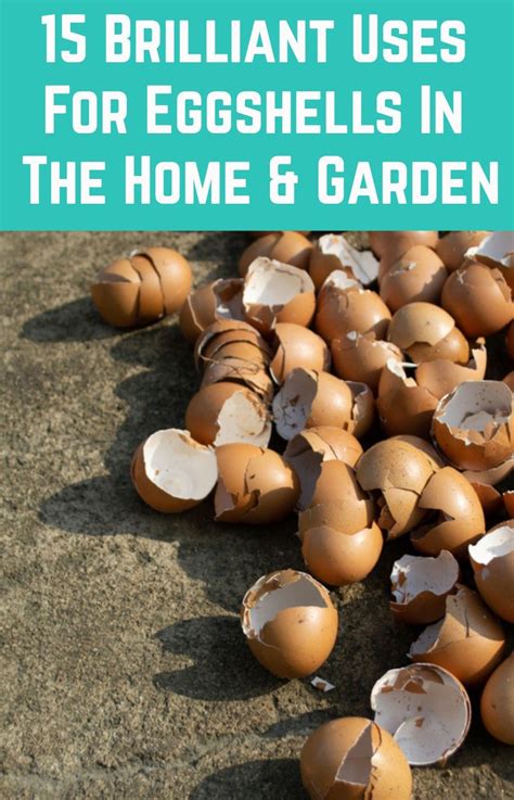 15 Brilliant Uses For Eggshells In The Home And Garden How To Eat Them