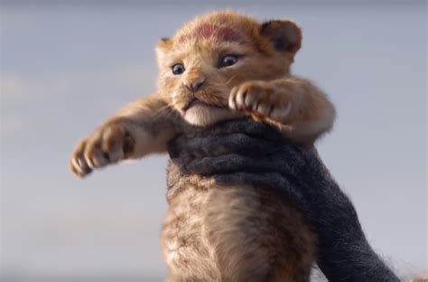 Le Roi Lion Live Action Disney + - Surprise! Disney drops first trailer for “live-action” film The Lion