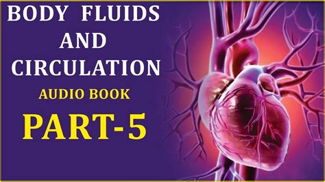 Body Fluids And Circulation Summary Part 5 Youtube