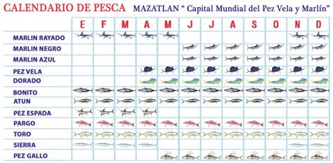 Calendario De Pesca Escualo Sport Fishing Mazatlán