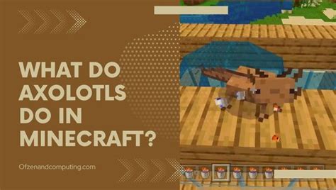 What Do Axolotls Eat In Minecraft Detailed Guide 2024
