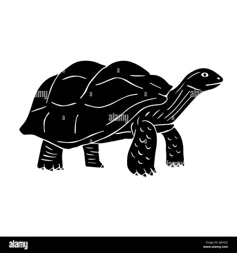 Vector Hand Drawn Doodle Sketch Black Turtle Isolated On White