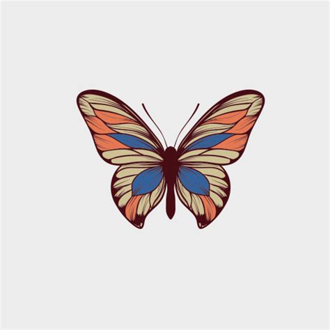 Free Vector Butterfly Freevectors