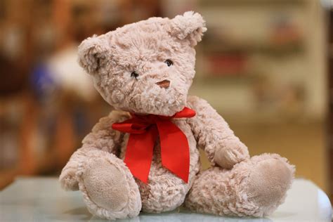 New Competition Launched To Find The Uks Most Loved Cuddly Toy Wild Pr
