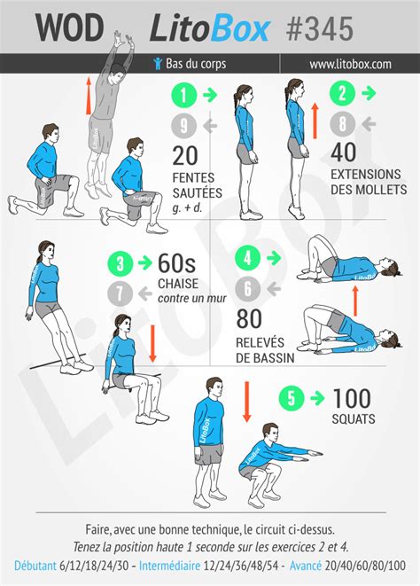 Exercice Jambe Musculation