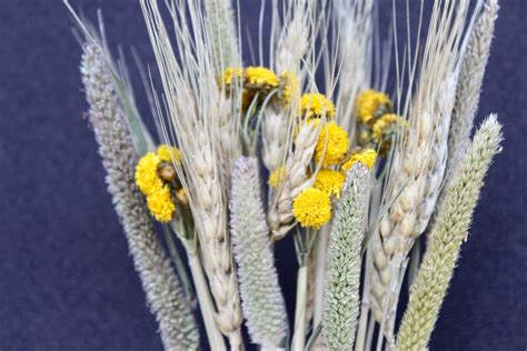 Buy Dried Flowers Bunch With Natural Dried Grasses Bloomybliss