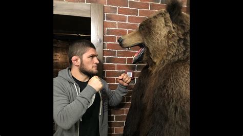 Khabib Nurmagomedov Wrestling With A Bear And Ufc Youtube