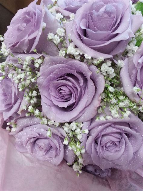 Purple Rose Bridal Bouquet With Babys Breath Graceland Florist In