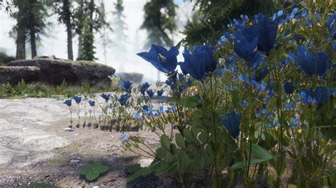 Kabloom Mountain Flowers At Skyrim Special Edition Nexus Mods And