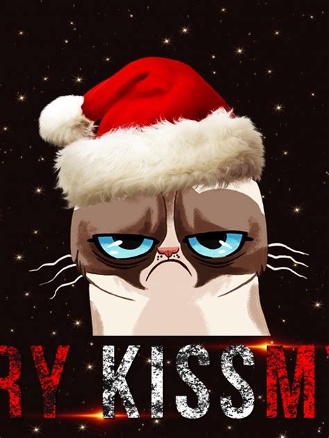 Free Download Grumpy Christmas Wallpaper Meme Wallpapers 26213